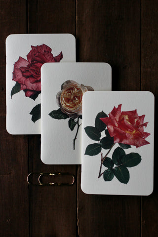 Garden Roses Notebooks | Set Of 3