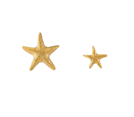 Alex Monroe Asymetric Starfish Stud Earrings Silver