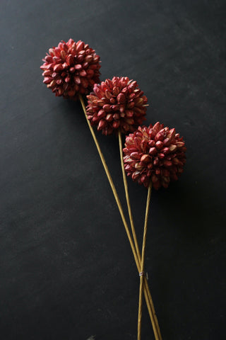 Fleur dried bunch Snowball Flowers