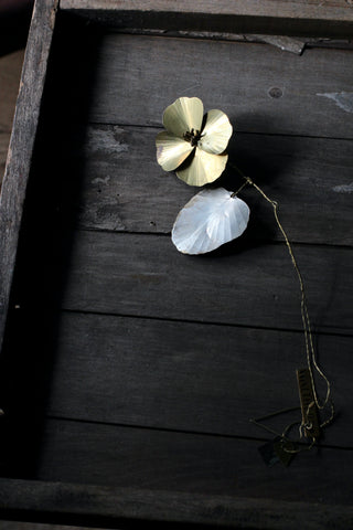 Walther & Co | Pansy Flower