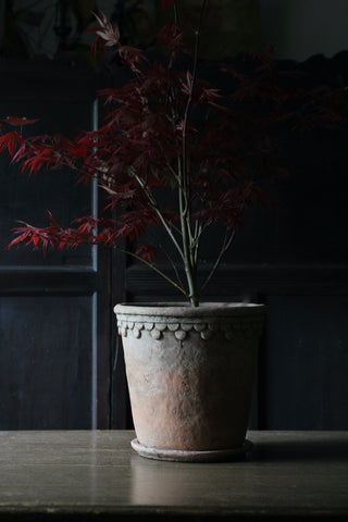 Antiqued Terracotta Planter | Large