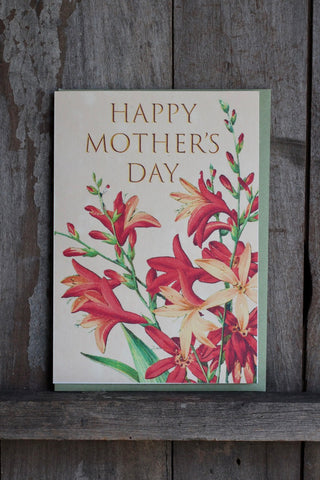 Monbretias Mother's Day Card