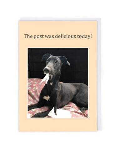 Post Was Delicious Greeting Card