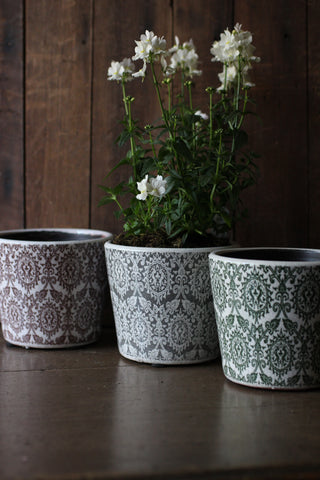 PLANT POT DELPHI MIXED