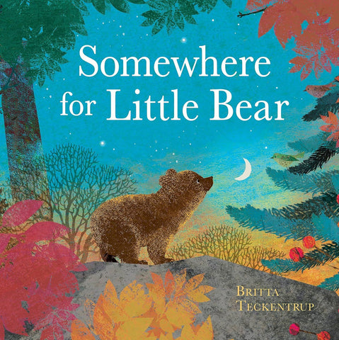 SOMEWHERE FOR LITTLE BEAR