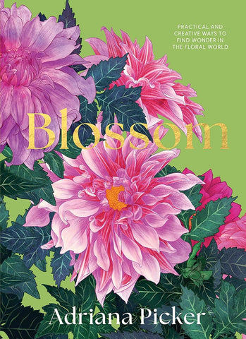 BLOSSOM: PRACTICAL AND CREATIVE