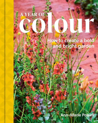 YEAR OF COLOUR: HOW TO CREATE A BOLD AND BRIGHT GARDEN