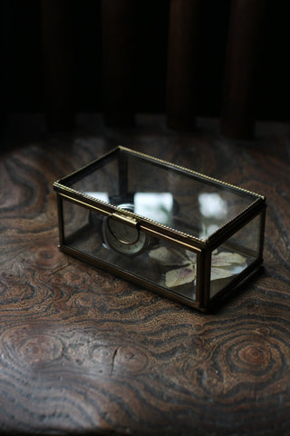 Glass Display box | Antiqued Brass edge