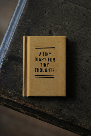 A Tiny Diary for Tiny Thoughts