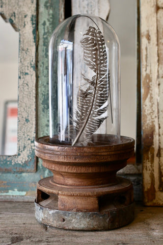 Indian Base & Glass Cloche