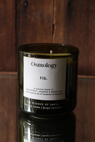 Fig Scented Candle | Osmology