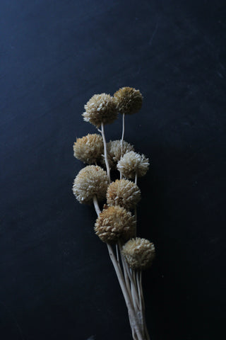 Bunch of dried Flowers (Natural)