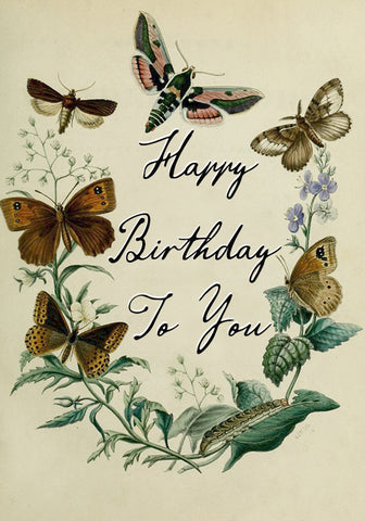 Happy Birthday To You | Butterfly Wreath