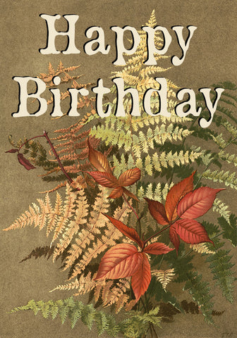 Happy Birthday | Ferns