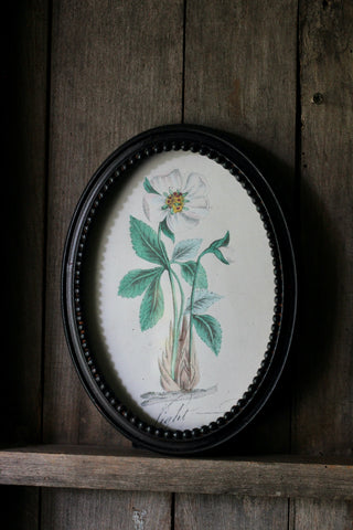 Aged Brown Oval Photo Frame