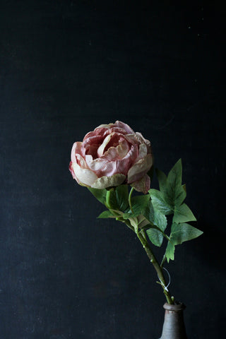 Peony Light Pink