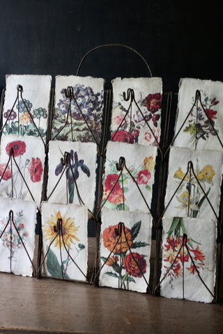 attic. Botanical Cards