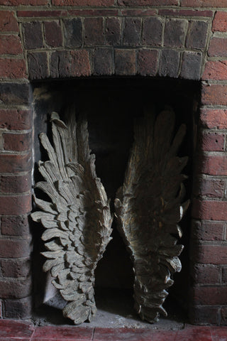 Lg Decorative Angel Wings