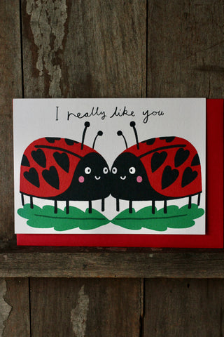 Really Like You | Ladybirds Greeting Card 