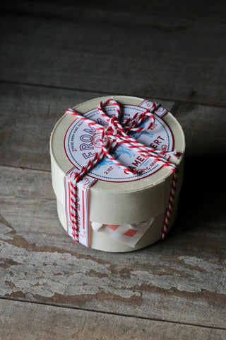 The Cheese Mouses! | White Chocolate Mice