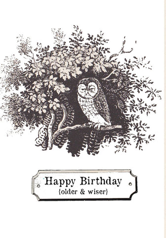 Older & Wiser Owl | Happy Birthday Card