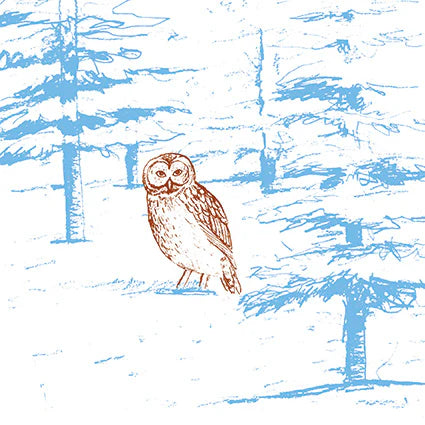 Forest Owl Christmas Card