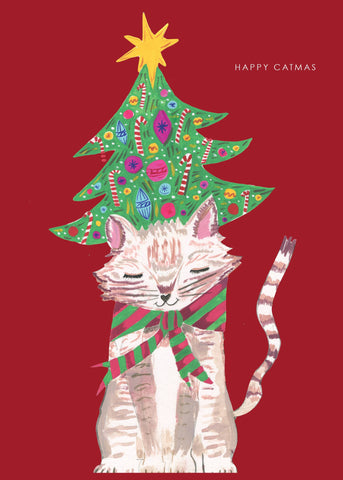 'Cat and Christmas Tree Hat' Christmas Greetings Card: Biodegradable Cello Wrap