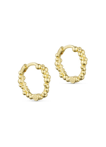 Chloe hoops w. studs