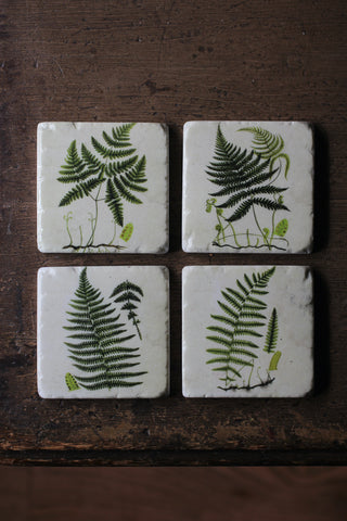 Green Fern Coasters