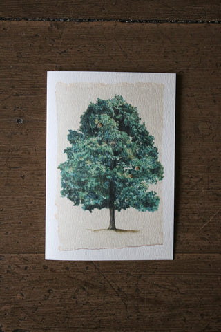 Elena Deshmukh Card, Mighty Oak Tree