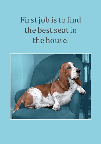 Cath Tate - The Best Seat In The House Greeting Card