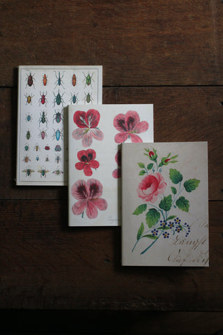 John Derian: Garden Notebooks