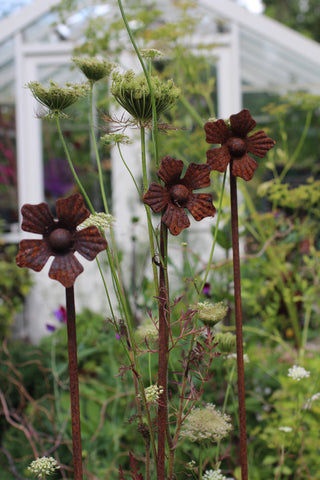 Rusty Flower Head Plant Stake