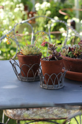 Wire Crown, Pot tray - Antique grey