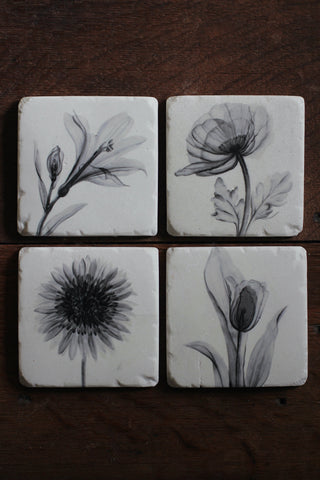 Grey Silk Flower Coasters