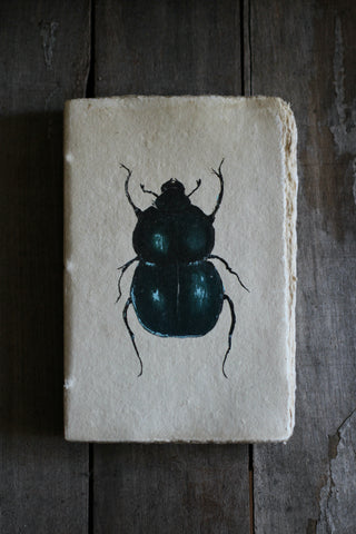 Beetle Notebook