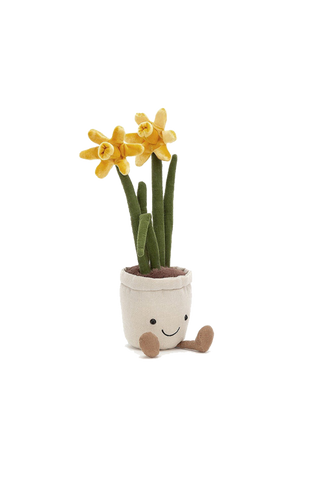 Amuseable Daffodil