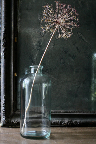 Jardin Clear glass, bottle vase