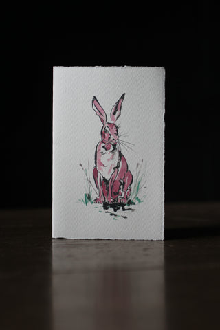 Pink hare Card
