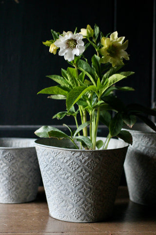 Embossed Metal Pots