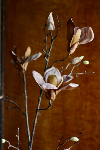 Natural Faux Magnolia Stem