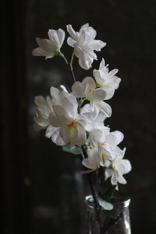 Blossom White Stem