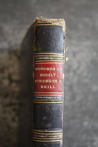 Wonders of Bodily Strength & Skill (Vintage Book)