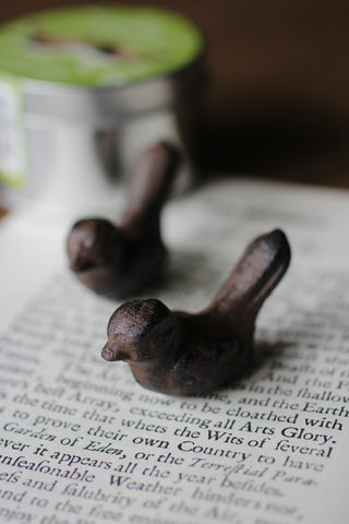 Pair of Birds in a tin.