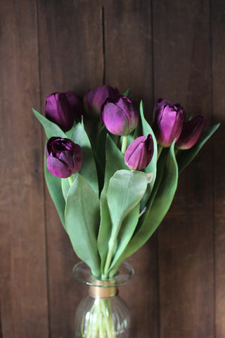 Tulip Stems
