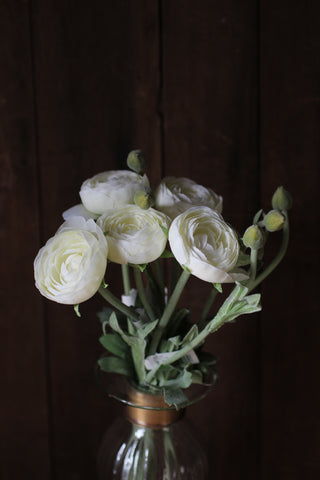 White Ranunculus