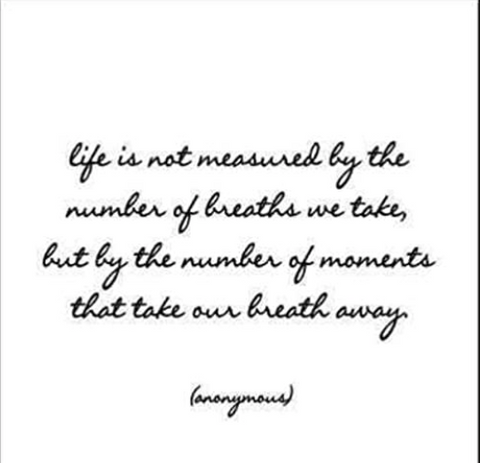 Quotable Card -  Life is Not Measured by...