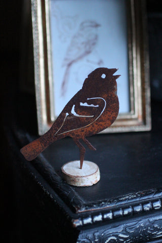 Rusty Robin