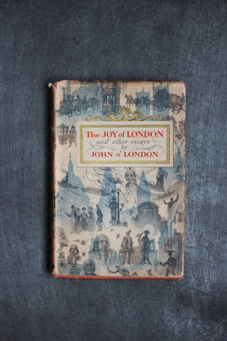 The Joy of London (Vintage Book)