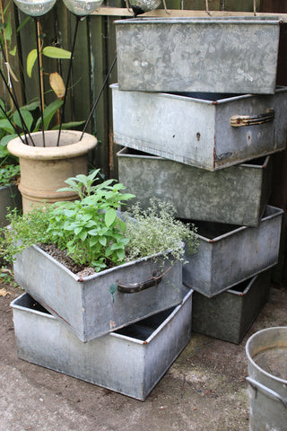 Vintage Galvanised Containers